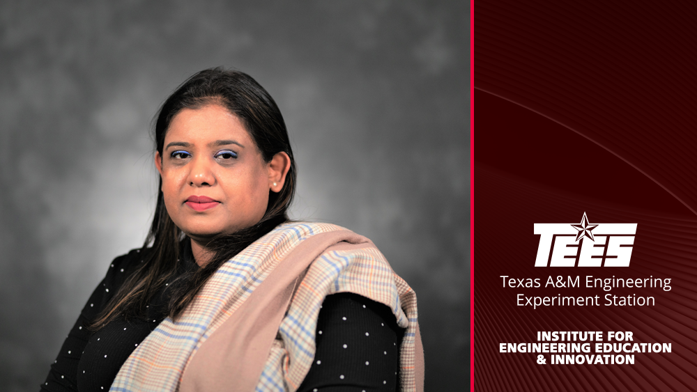 IEEI expert highlight – Dr. Saira Anwar